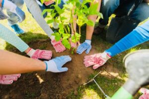 Voluntariado: Como Encontrar o Projeto Perfeito Para Você